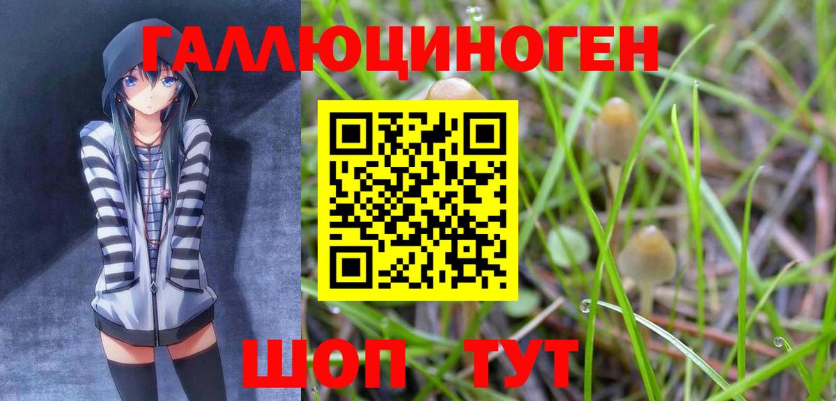 Псилоцибиновые грибы мицелий  Псилоцибиновые грибы GOLDEN TEACHER  Вход с VPN  дарнет шоп  Дзержинск 
